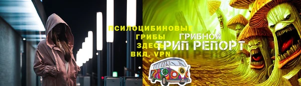 шишки Корсаков