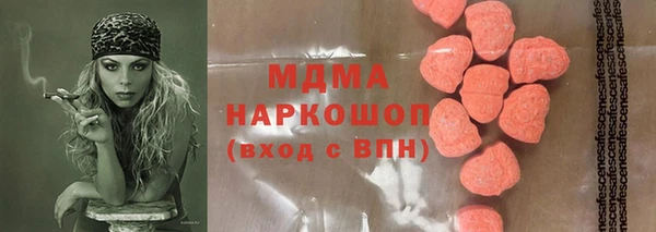 шишки Корсаков