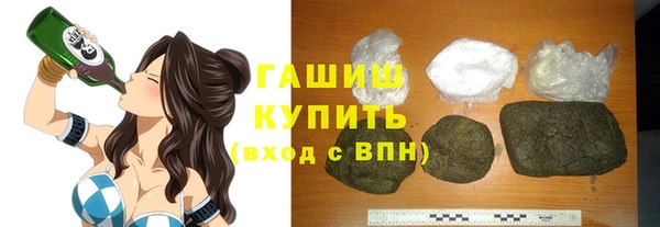 шишки Корсаков
