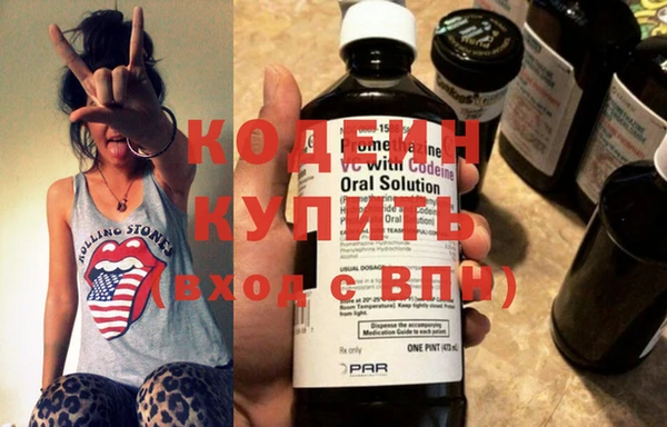 шишки Корсаков