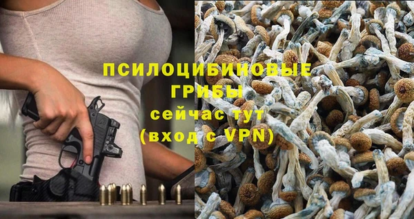 мескалин Коряжма